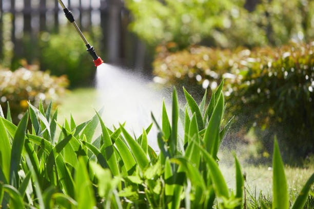 24/7 Emergency Wasp Removal experts in Lorain, OH