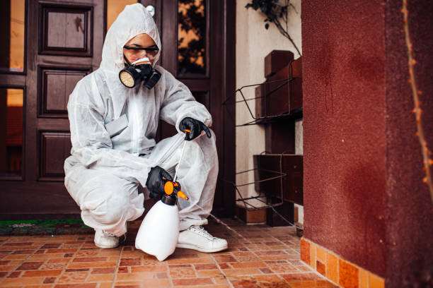 Reliable Wasp Removal contractor in Lorain, OH by Show Me Pest Control